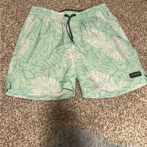 Hurley Gray and Mint Swim Shorts